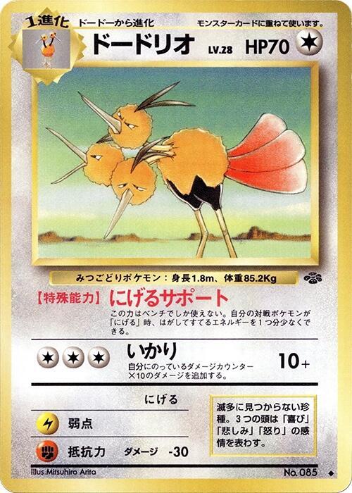 JP Dodrio 085 - MP