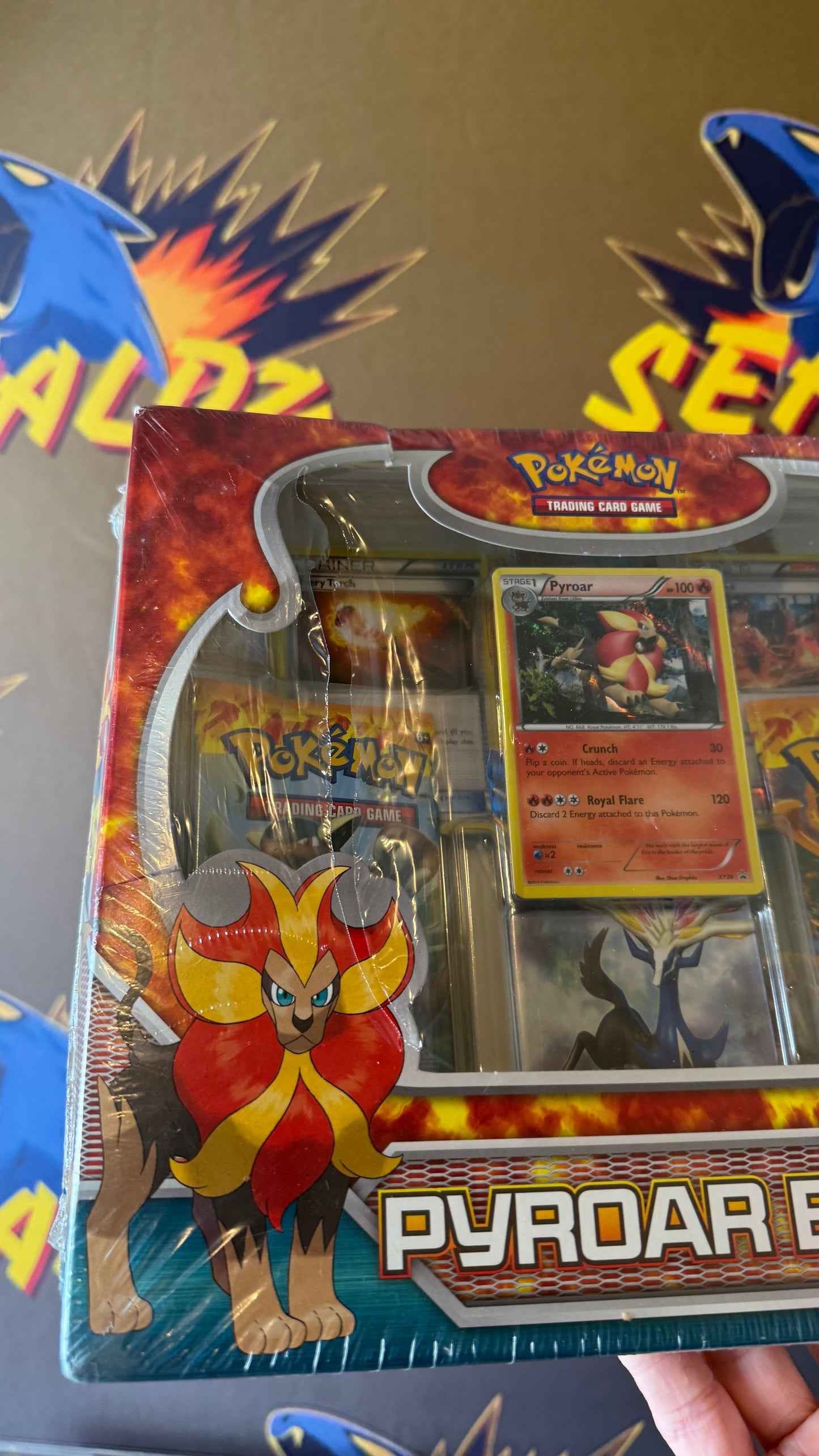 XY Pyroar Collection Box